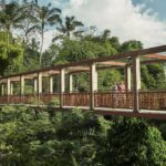 Los hoteles Más Festivos para Celebrar la Nochevieja Alrededor del Mundo »