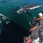 ¿Cuáles son los 5 glaciares accesibles en el mundo para caminar y fotografiar? »
