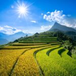 Los 5 rincones del mundo donde junio todavía es un secreto »